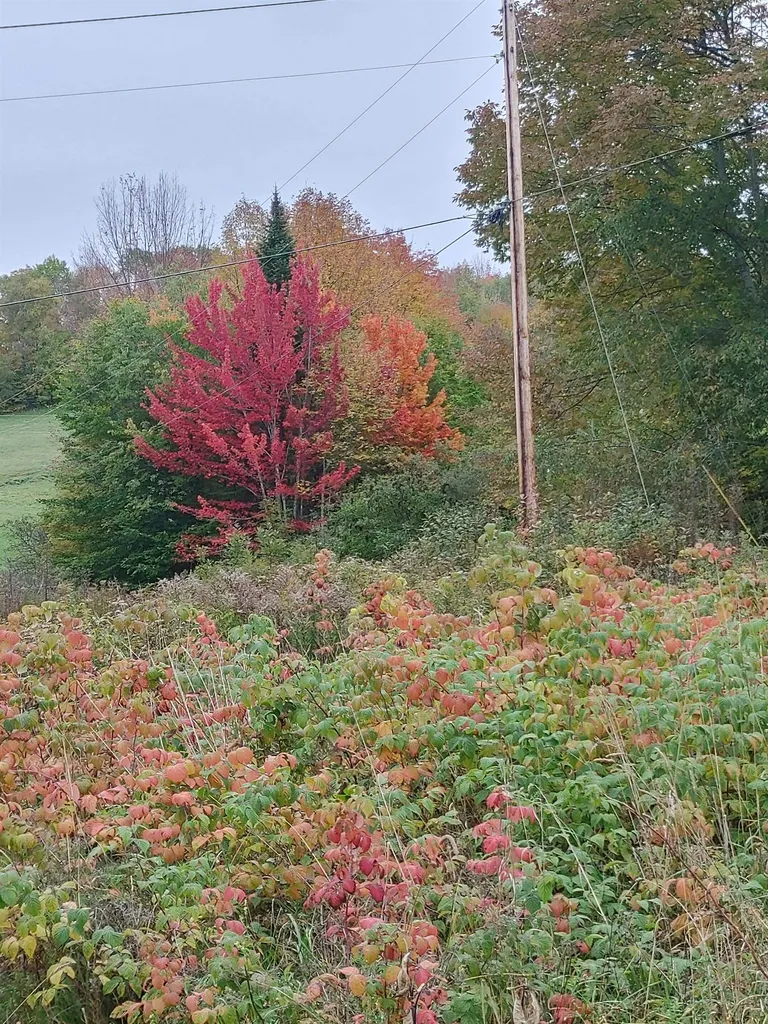 0 Emerson Road Topsham VT 05076