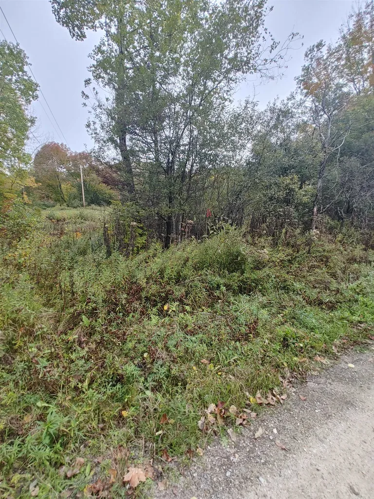 0 Emerson Road Topsham VT 05076