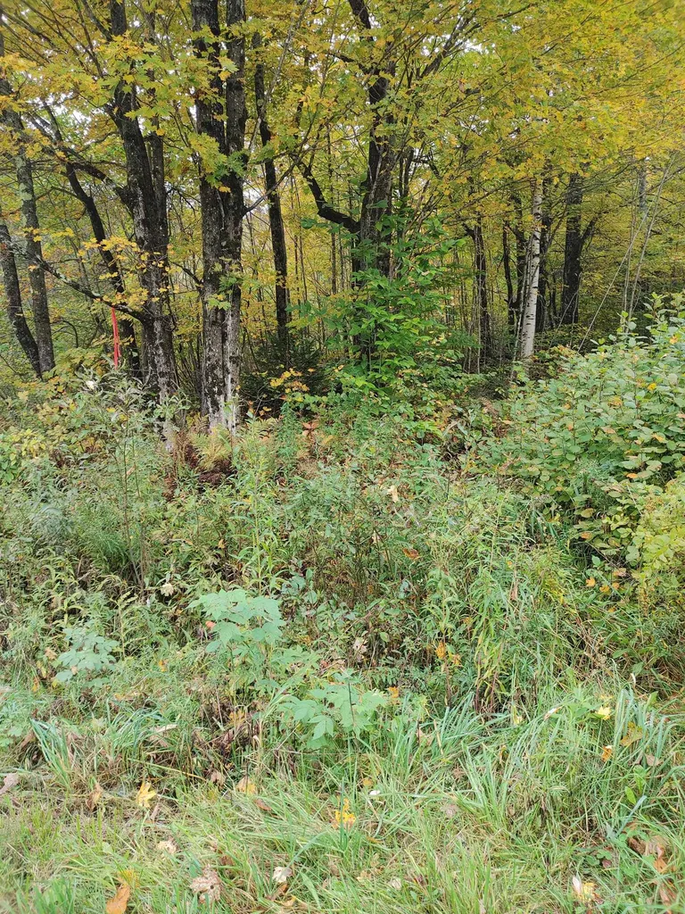 0 Emerson Road Topsham VT 05076