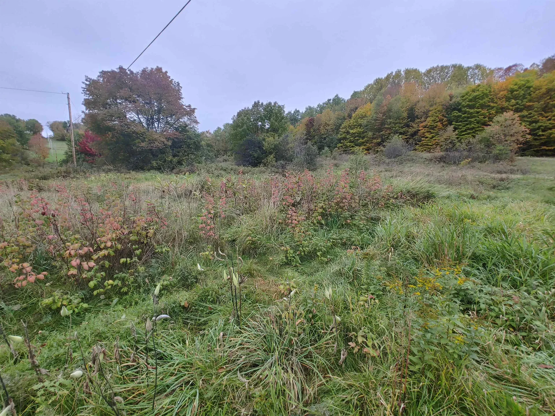 0 Emerson Road Topsham VT 05076