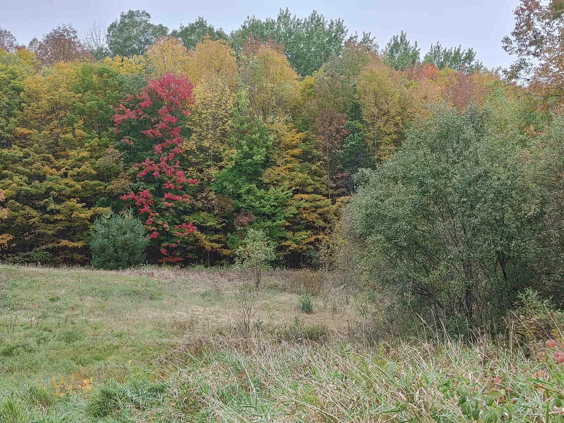 0 Emerson Road Topsham VT 05076