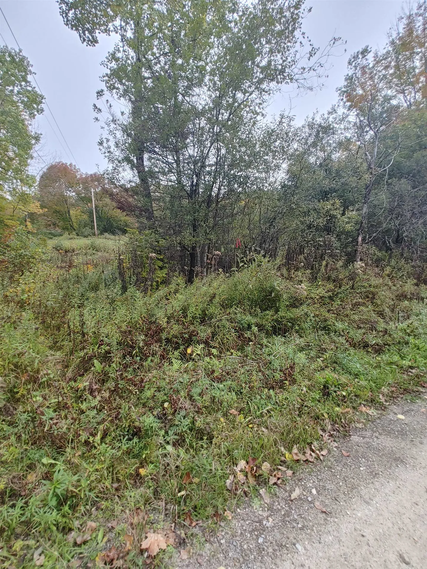 0 Emerson Road Topsham VT 05076