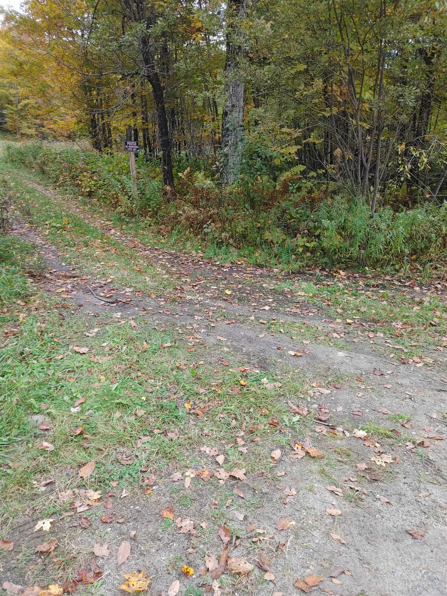0 Emerson Road Topsham VT 05076