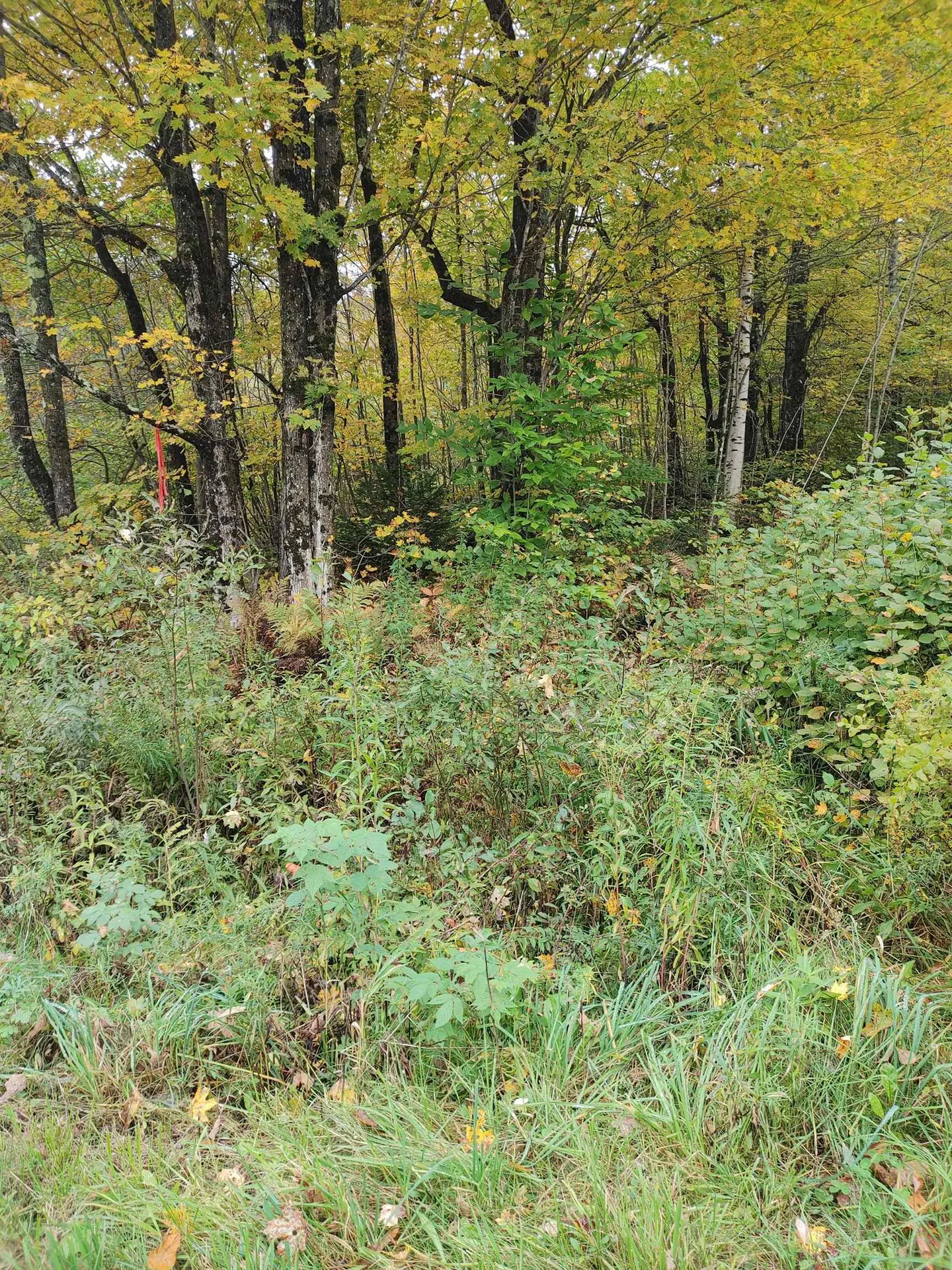 0 Emerson Road Topsham VT 05076