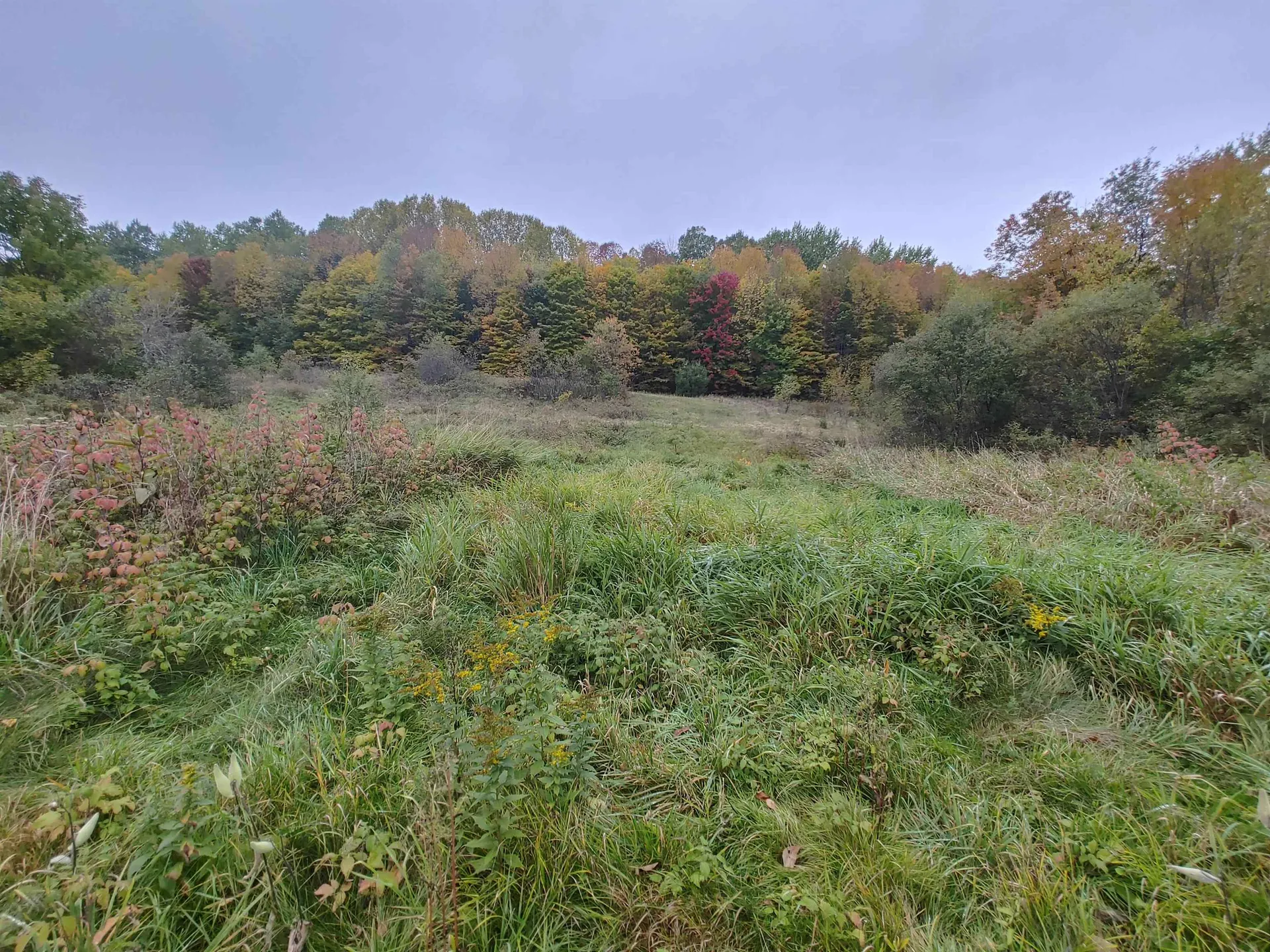 0 Emerson Road Topsham VT 05076