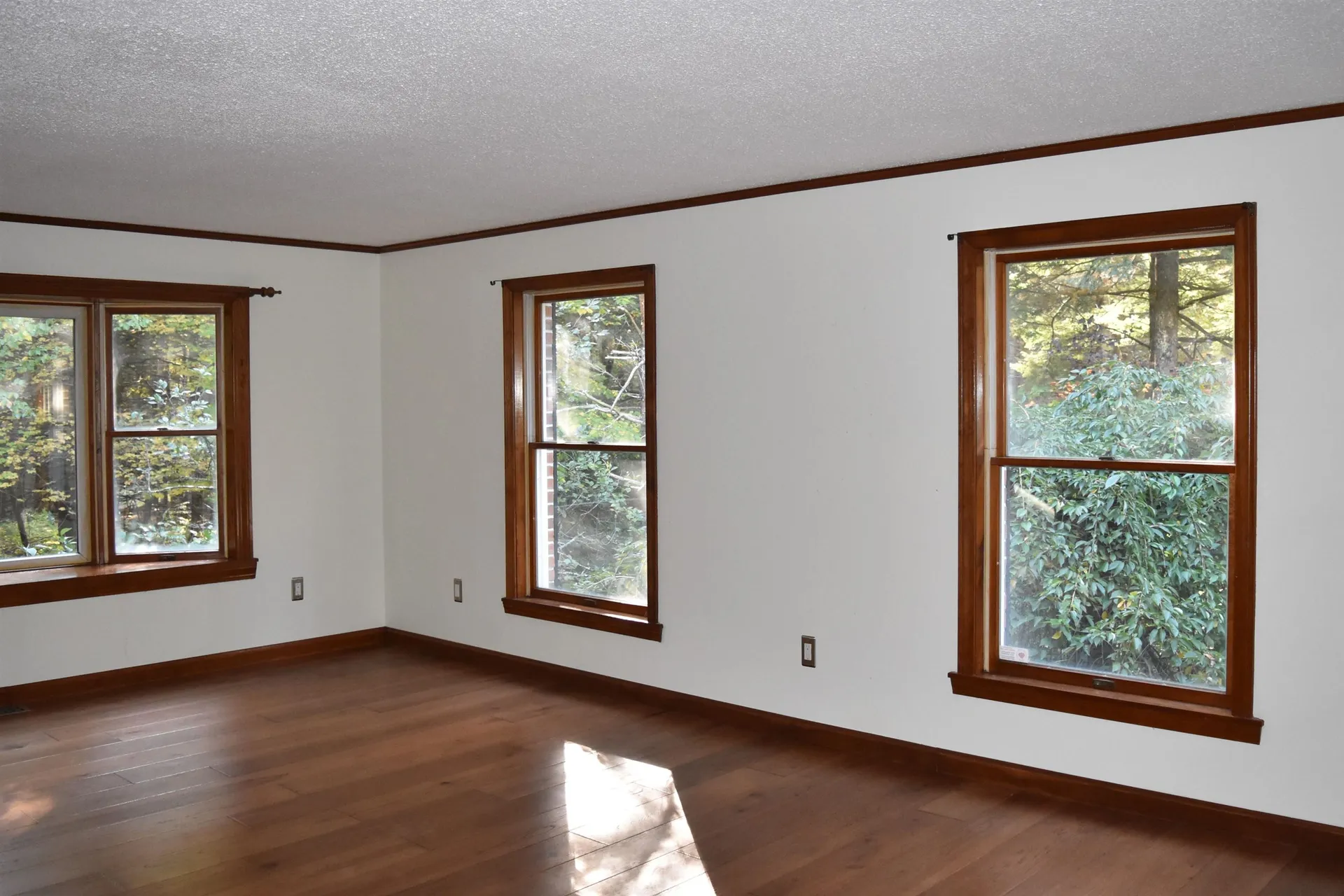 45 Barberry Lane Strafford NH 03884