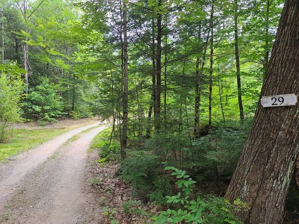 29 Eastside Lane Hill NH 03243