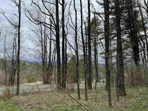 0 Fish Hill Road Randolph VT 05060