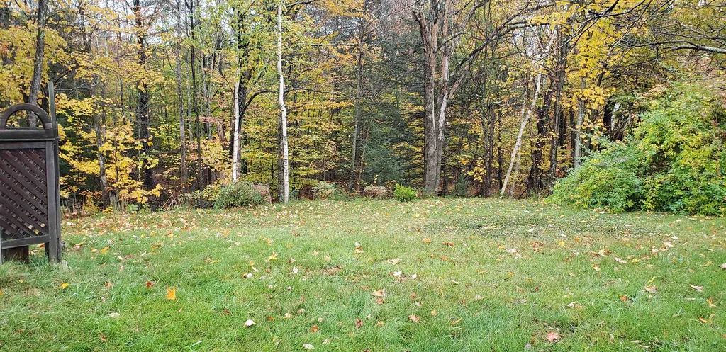 311 Birch Hill Road New Durham NH 03855