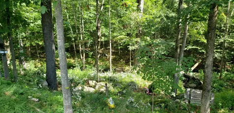 311 Birch Hill Road New Durham NH 03855