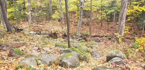 311 Birch Hill Road New Durham NH 03855