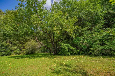1884 Tower Road Williamstown VT 05679