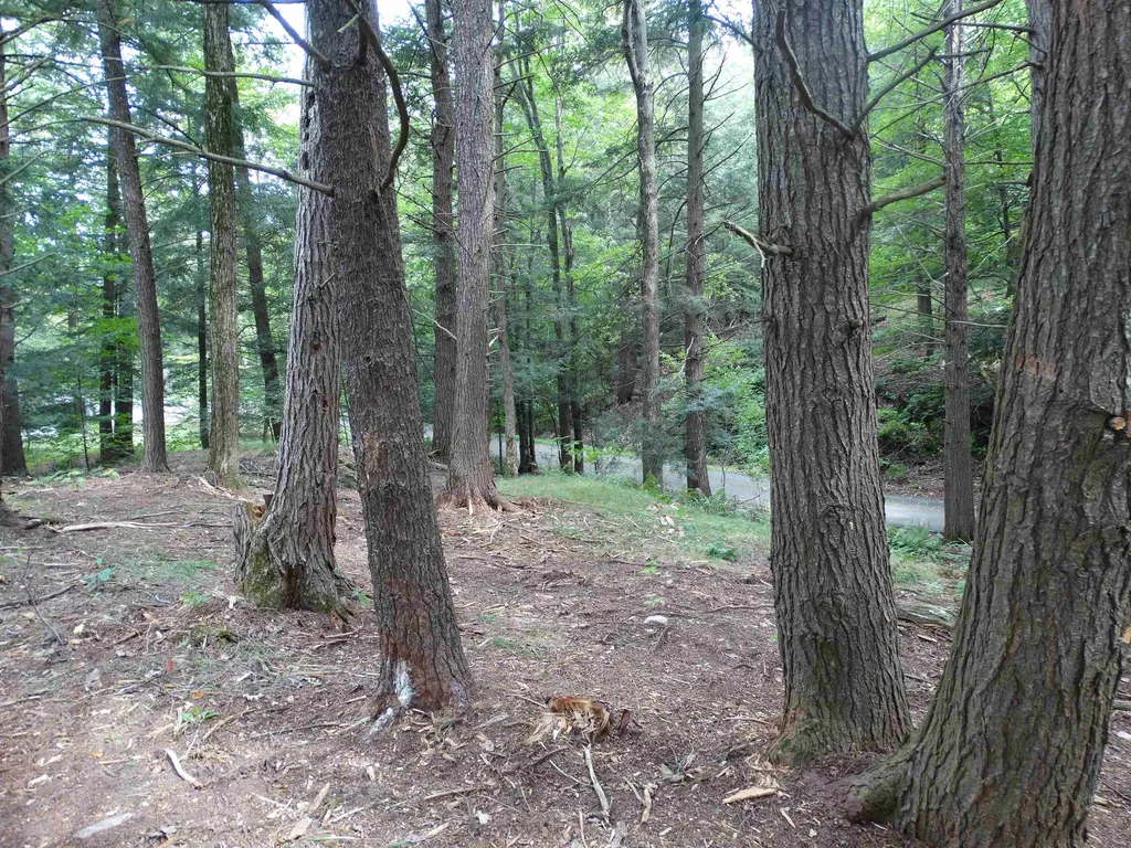 2 Lawes Drive Williston VT 05495