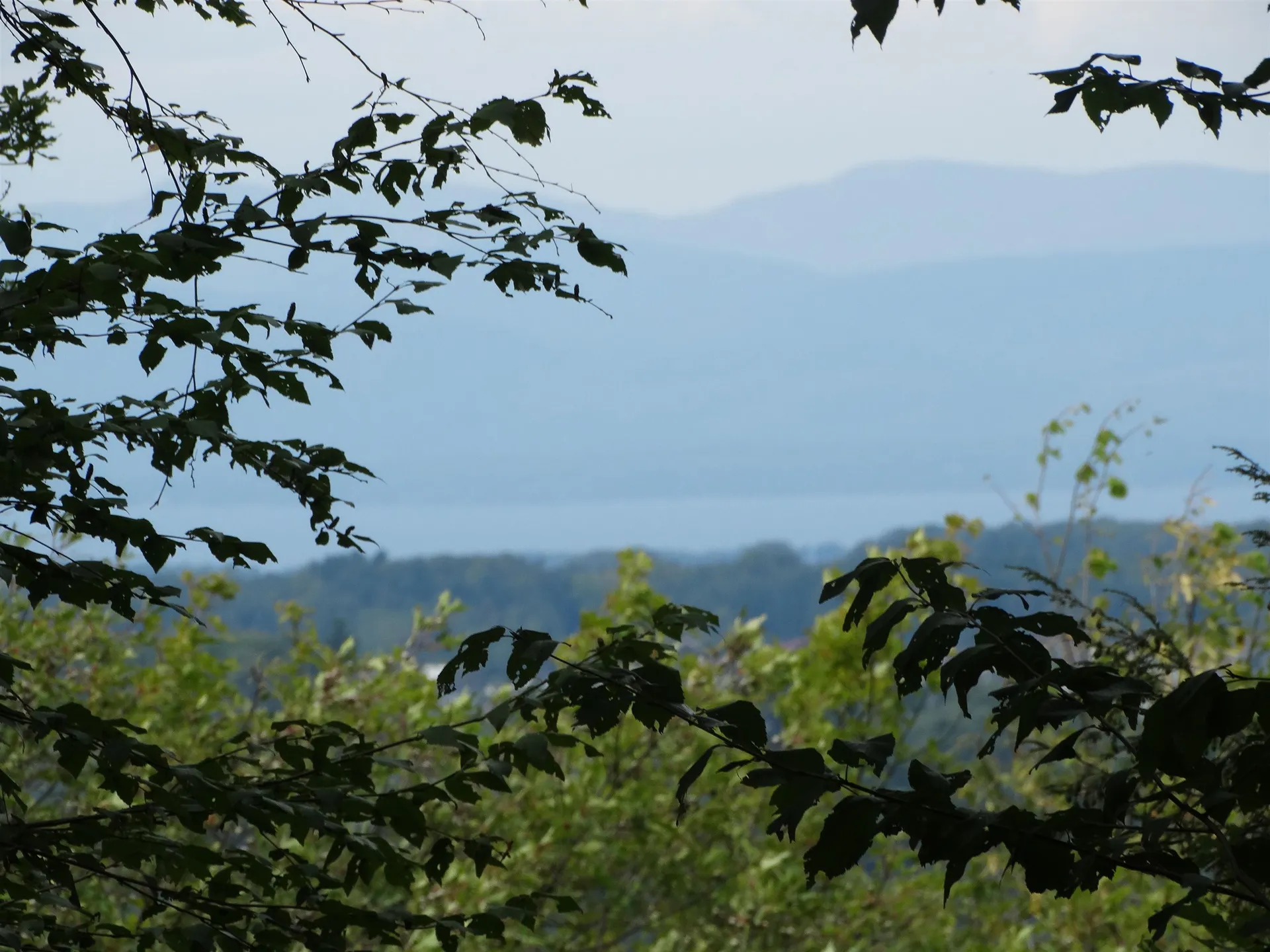 2 Lawes Drive Williston VT 05495