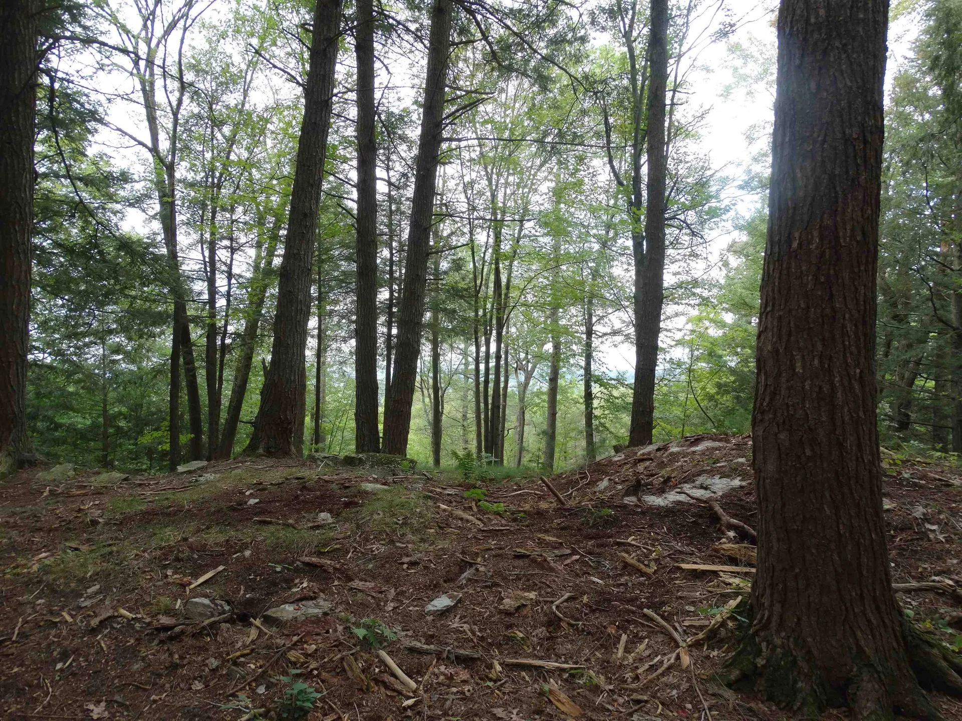 2 Lawes Drive Williston VT 05495