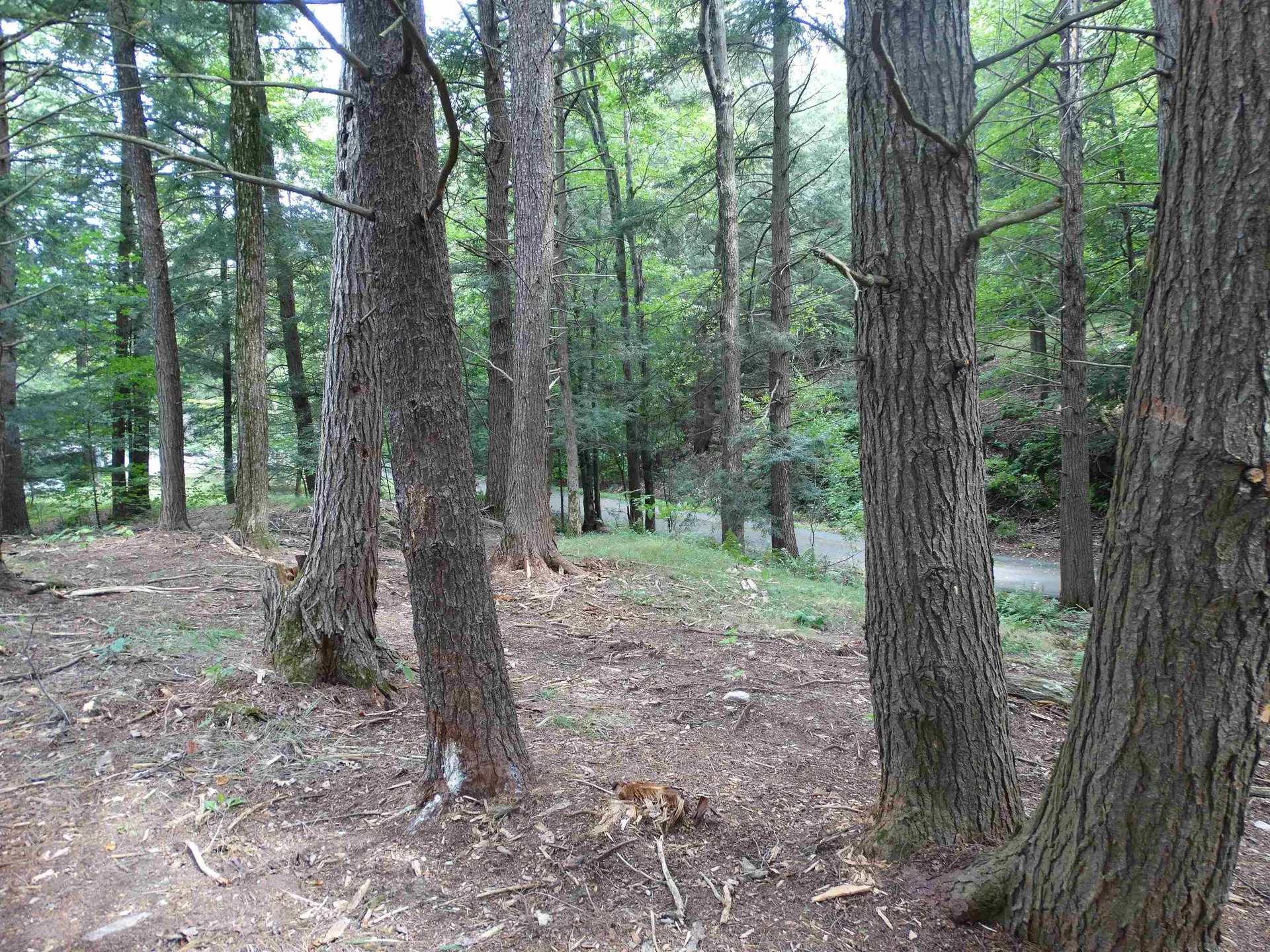 2 Lawes Drive Williston VT 05495