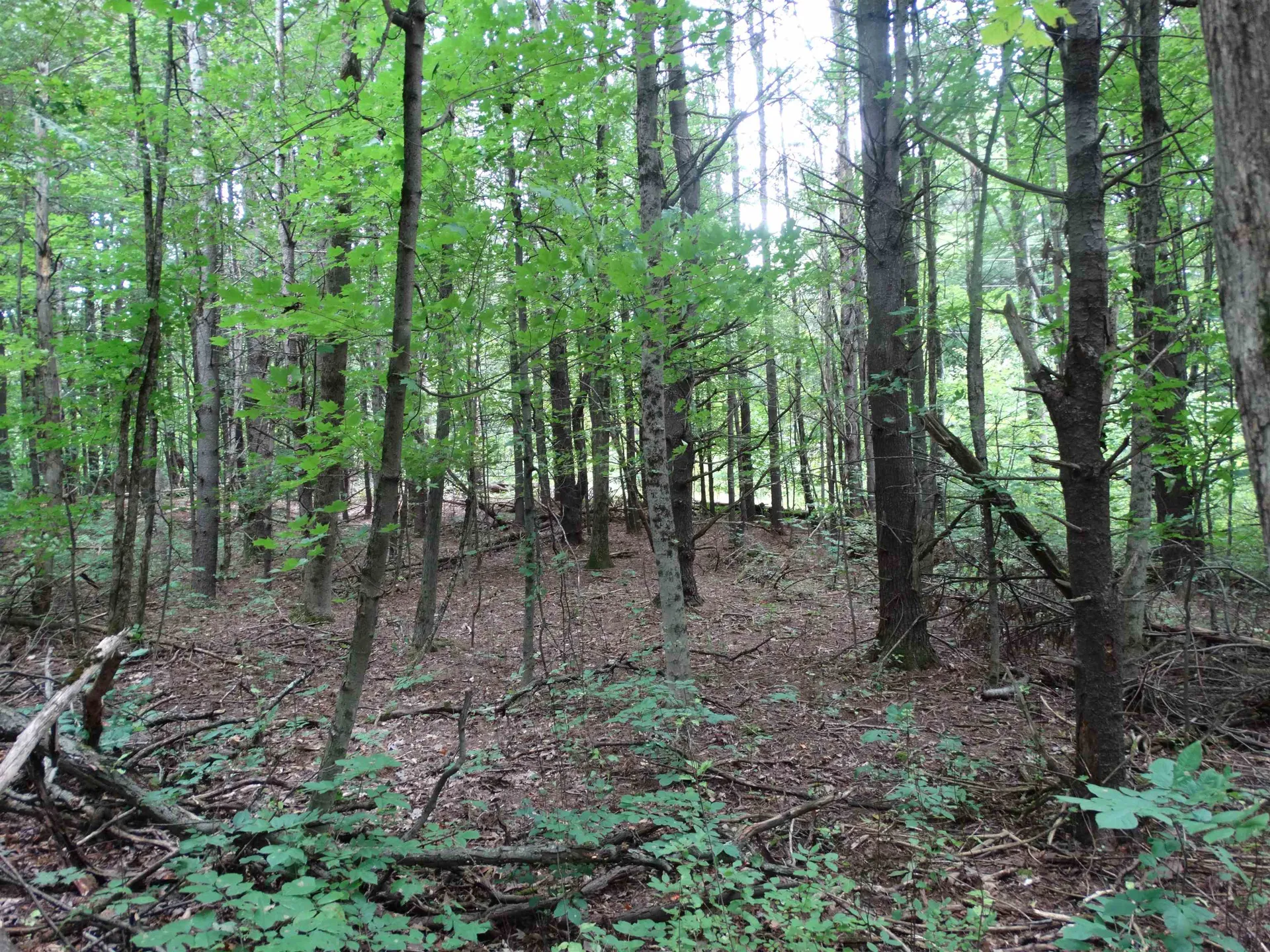 2 Lawes Drive Williston VT 05495