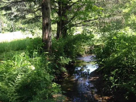 7 Shute Road Hartland VT 05048