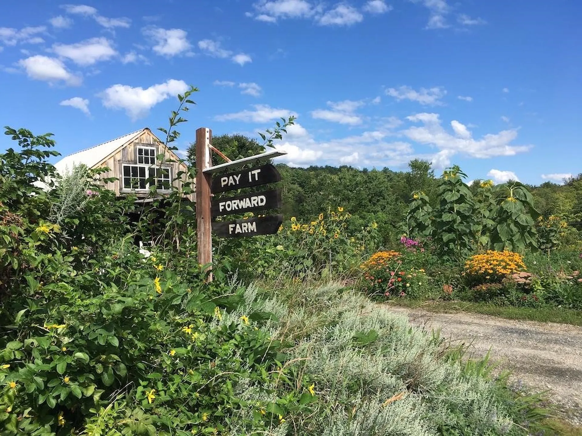1129 Franklin Highway Andover NH 03216
