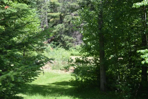 226 Pondview Road Cabot VT 05873