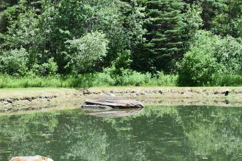 226 Pondview Road Cabot VT 05873