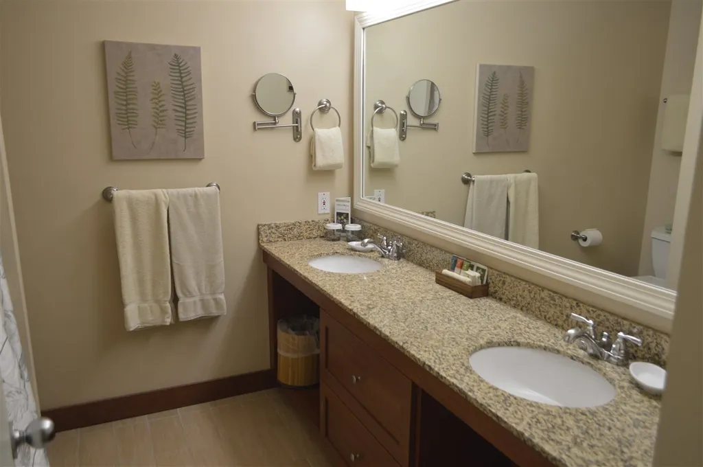 202, 1 89 Grand Summit Way Dover VT 05356