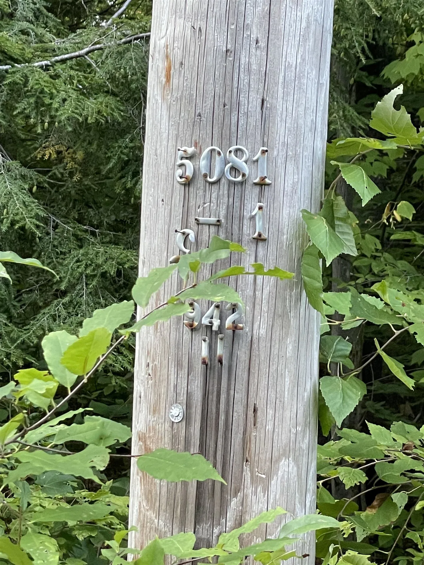 Lot 59 Edie Lane Jamaica VT 05343