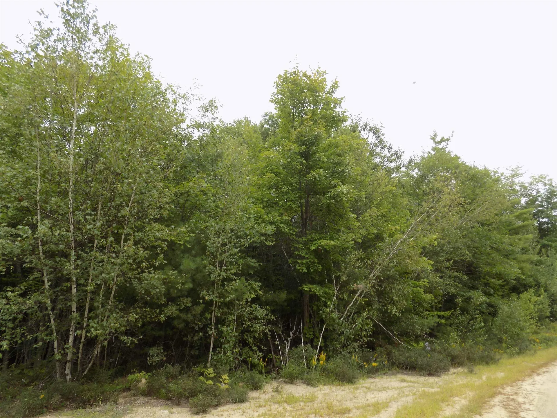 134 Henry Cotton Road Conway NH 03813