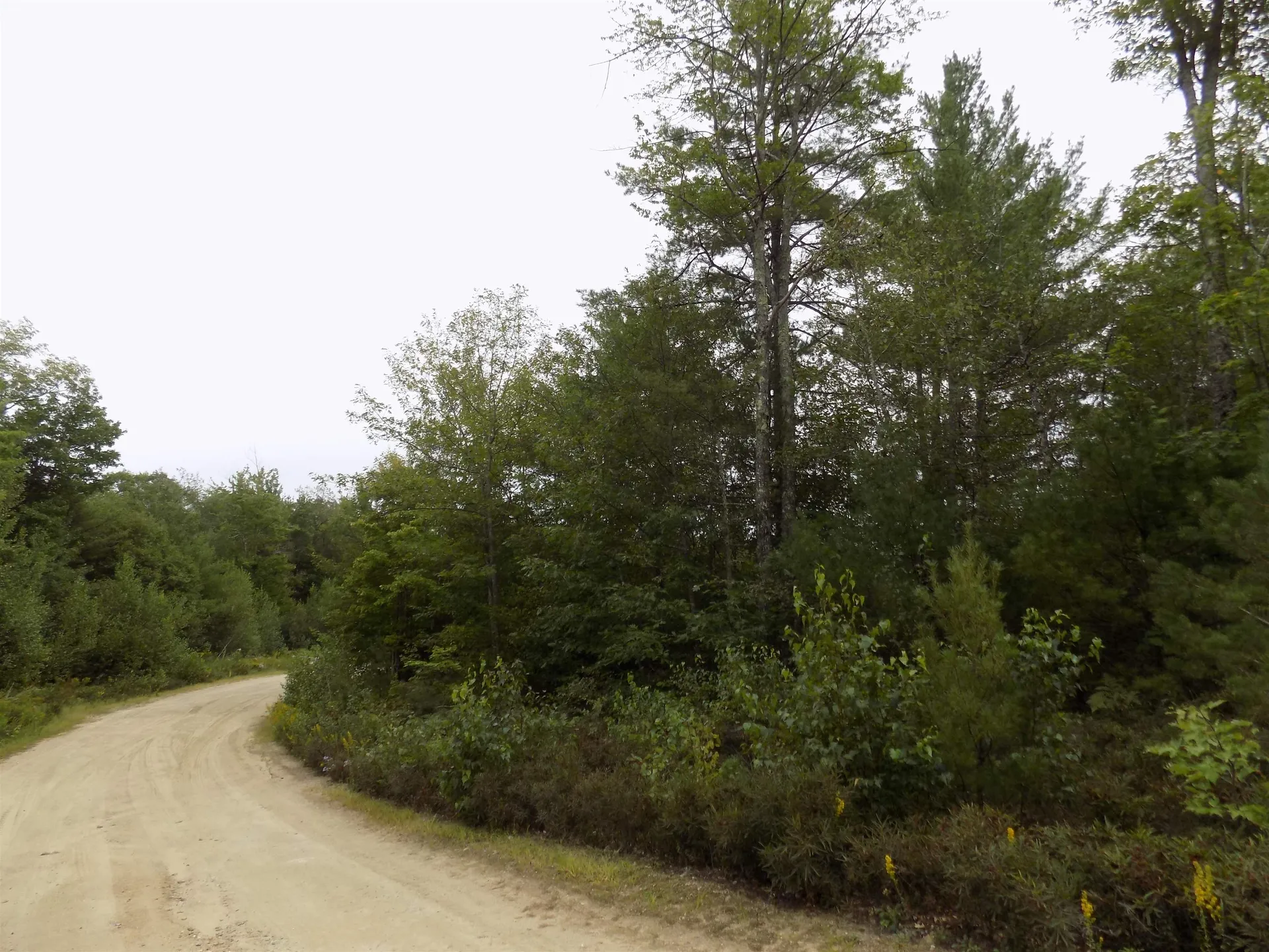 134 Henry Cotton Road Conway NH 03813