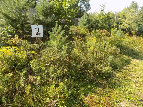 Lot 2 Pemigewasset Drive Conway NH 03818