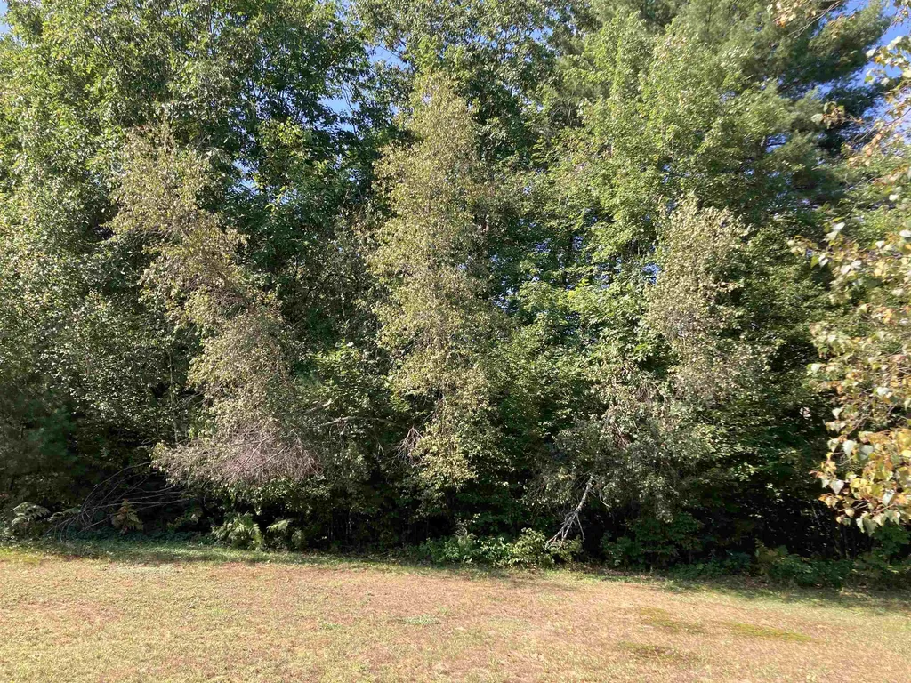 89 Martin Road Deering NH 03244