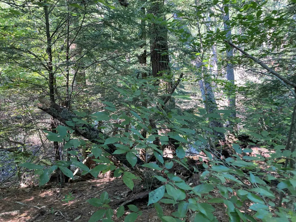 89 Martin Road Deering NH 03244