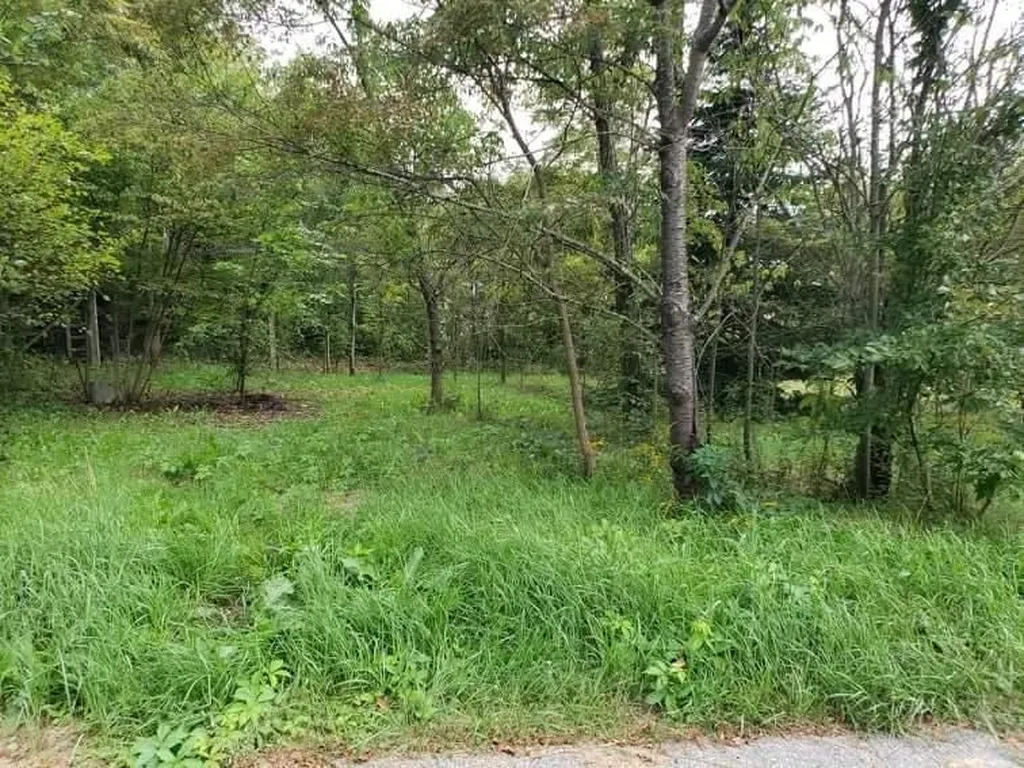 0 Otis Street Whitefield NH 03598