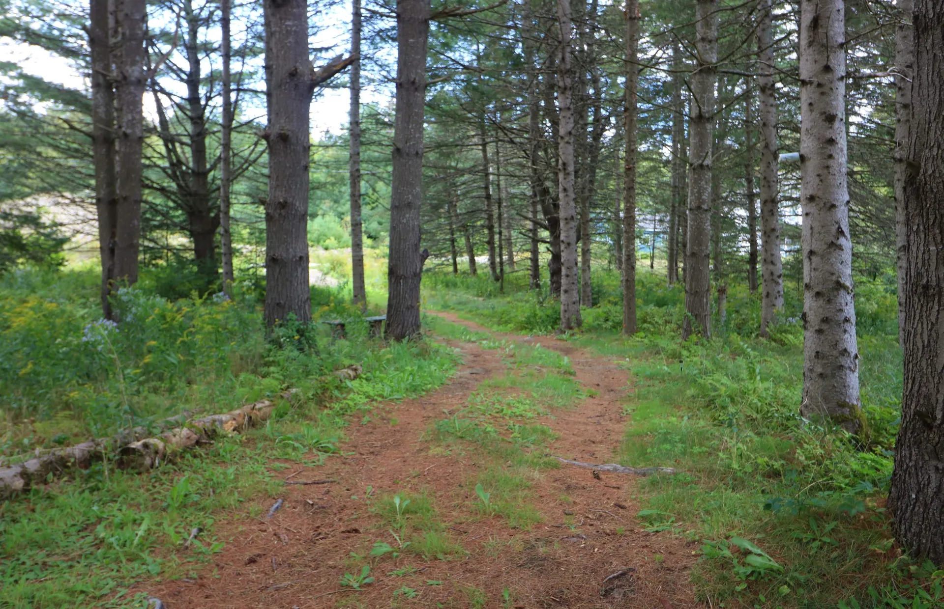 2227 Riverside Drive Berlin NH 03570