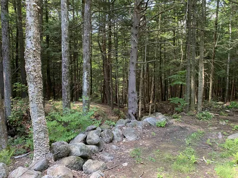 155 Gillis Hill Road Bennington NH 03442