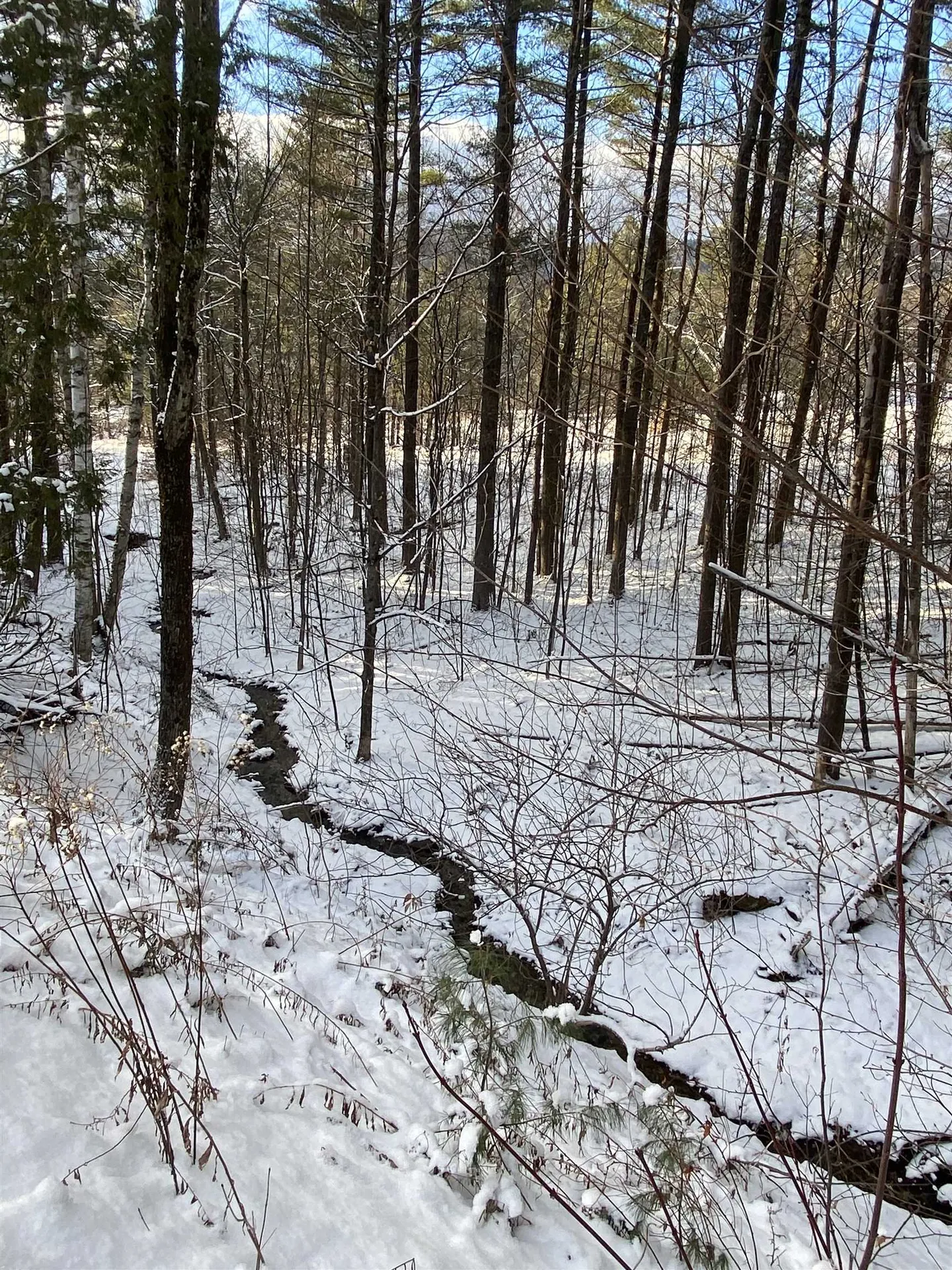 116 Zdon Road Middlesex VT 05602