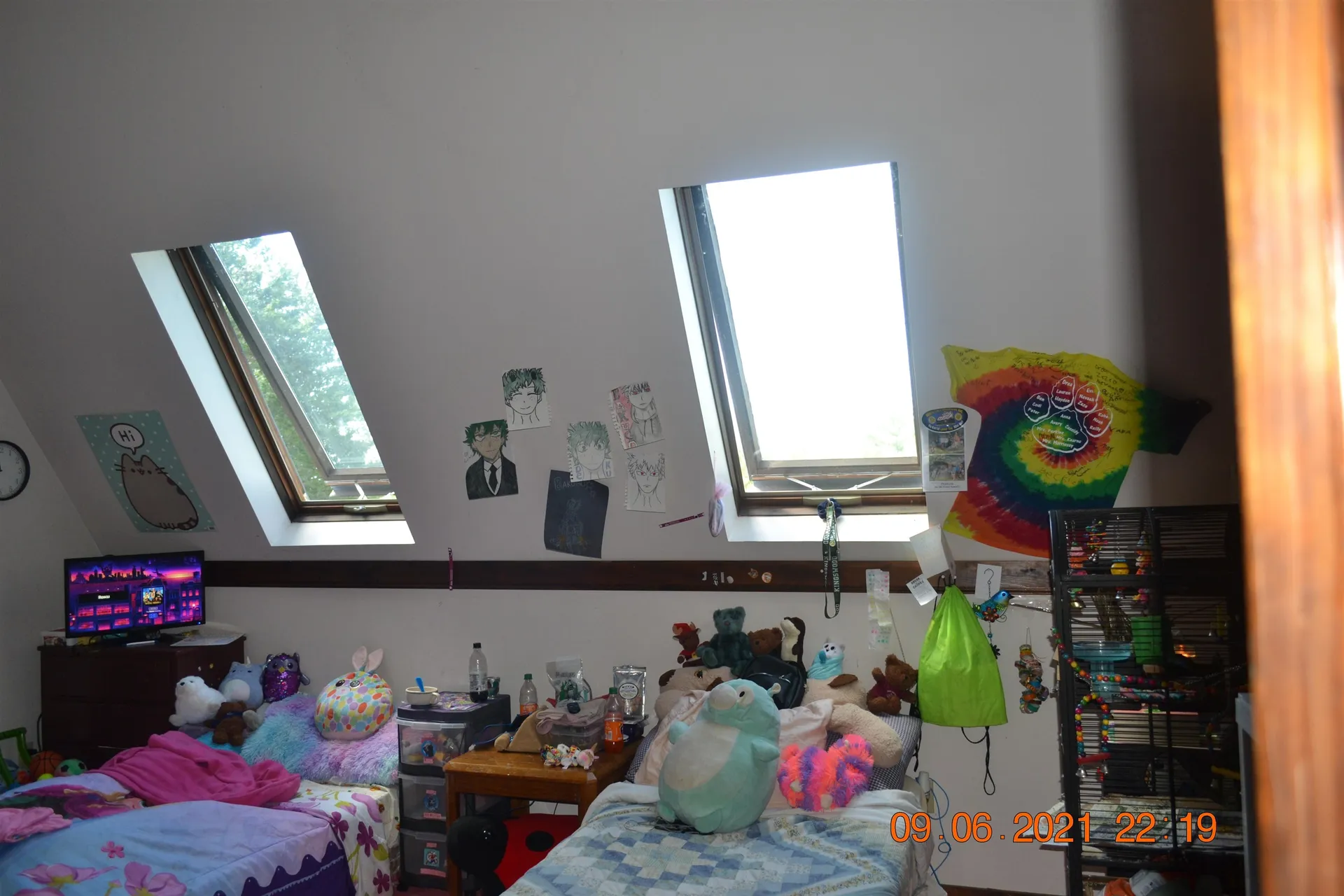 44 Champion Hill Road Effingham NH 03882
