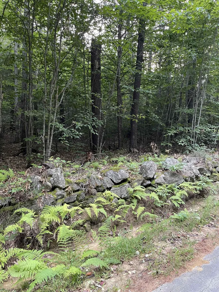 Map 9 Lot 12-5 Parsons Hill Road Strafford NH 03884