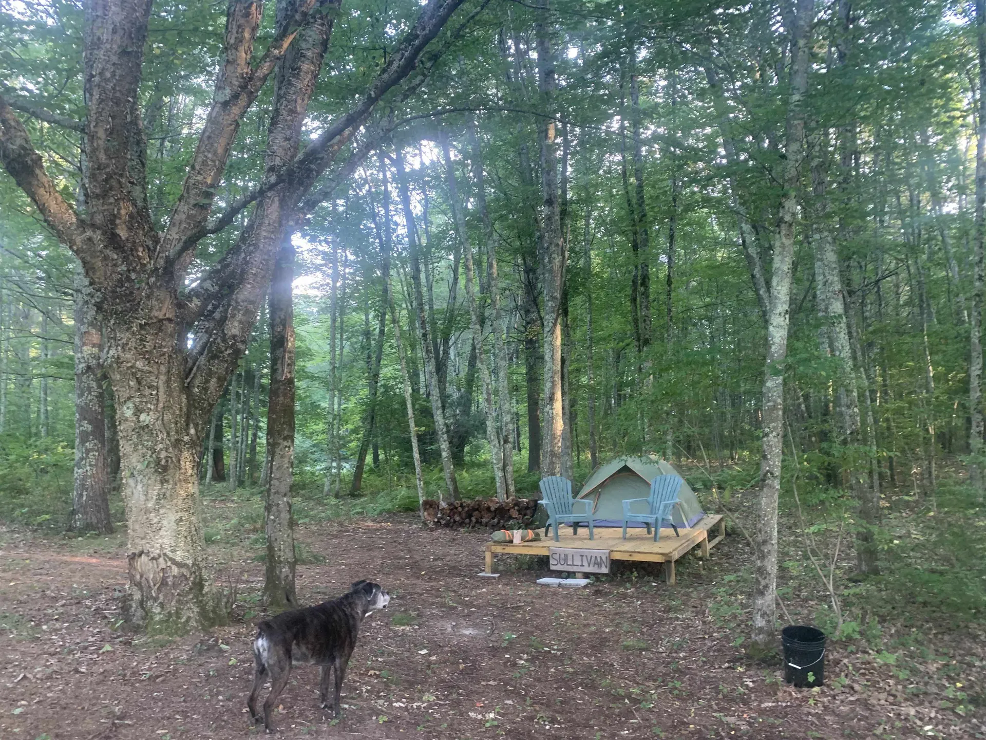 23 Sandpiper Drive Dover NH 03820