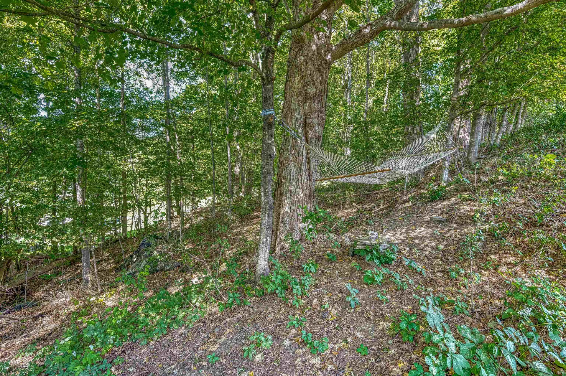 144 Woodcrest Drive Montpelier VT 05602
