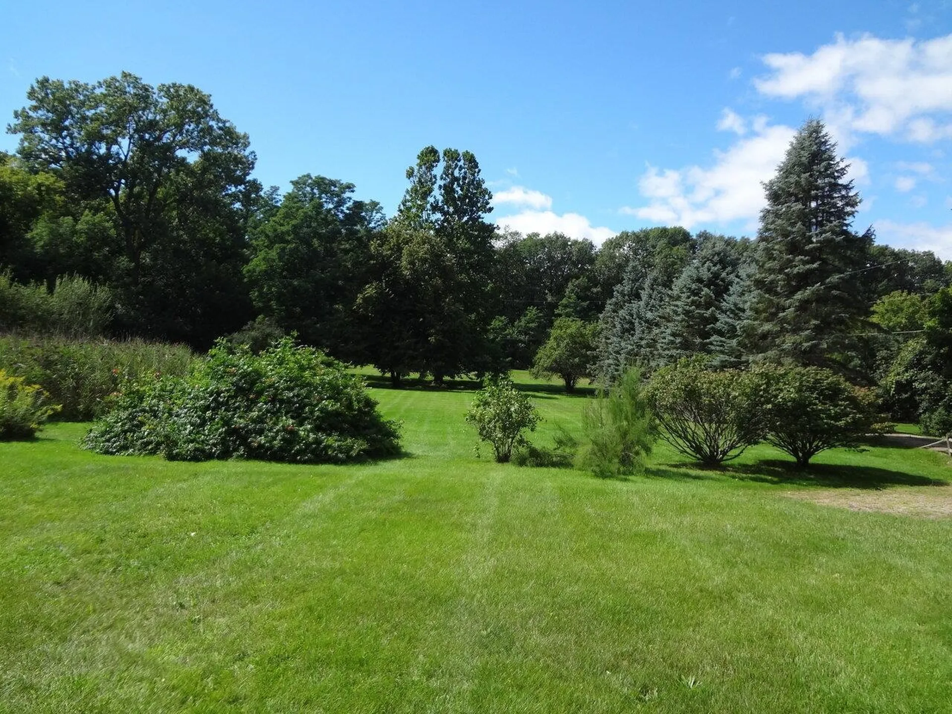 1102 Spear Street South Burlington VT 05403