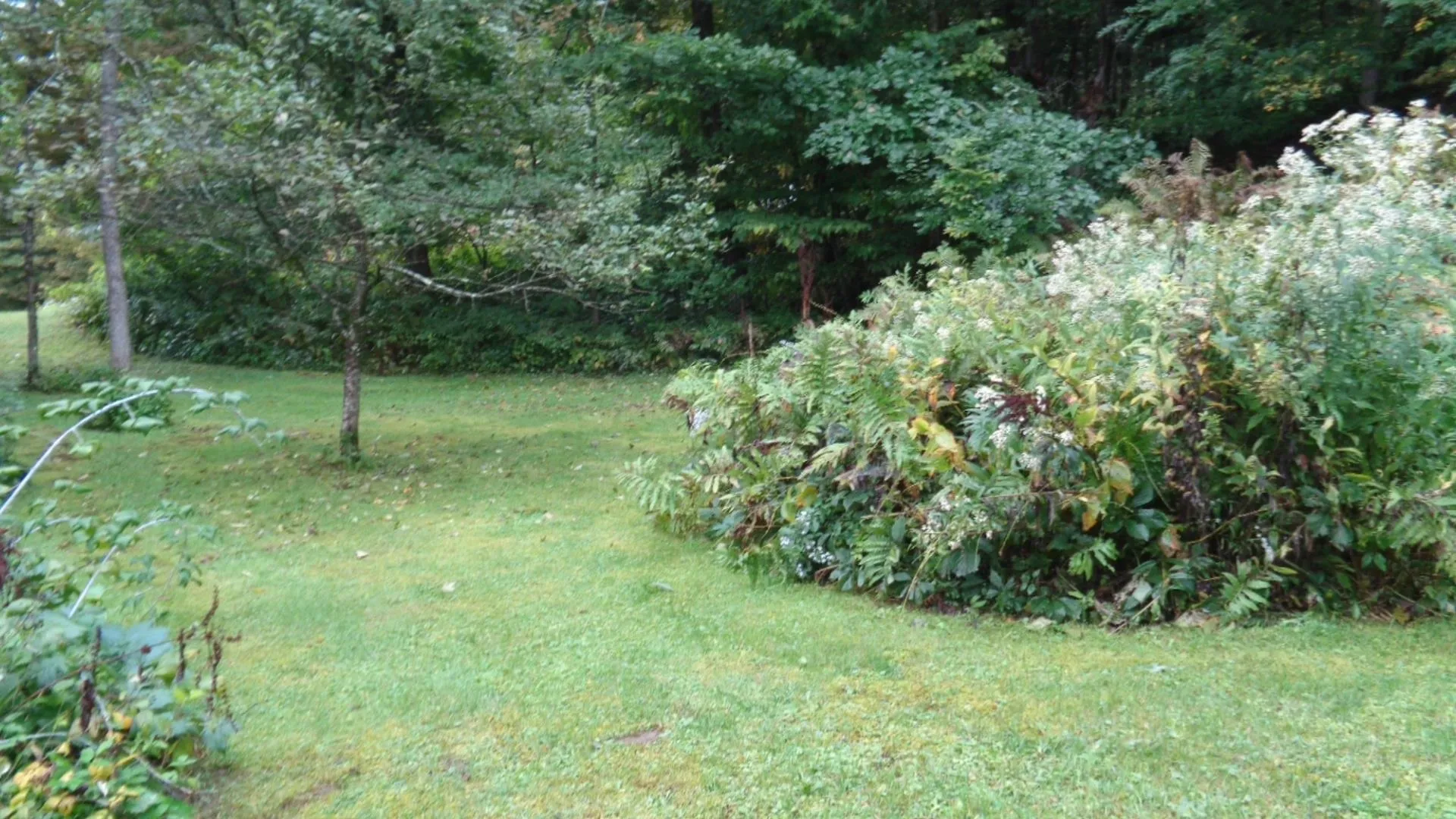 85 Gaiko Lane Bethel VT 05032