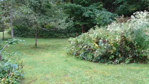 85 Gaiko Lane Bethel VT 05032