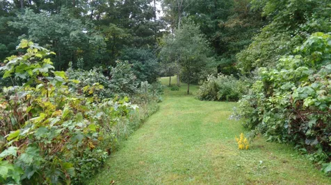 85 Gaiko Lane Bethel VT 05032