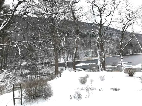 29 Tyler Street Brattleboro VT 05301