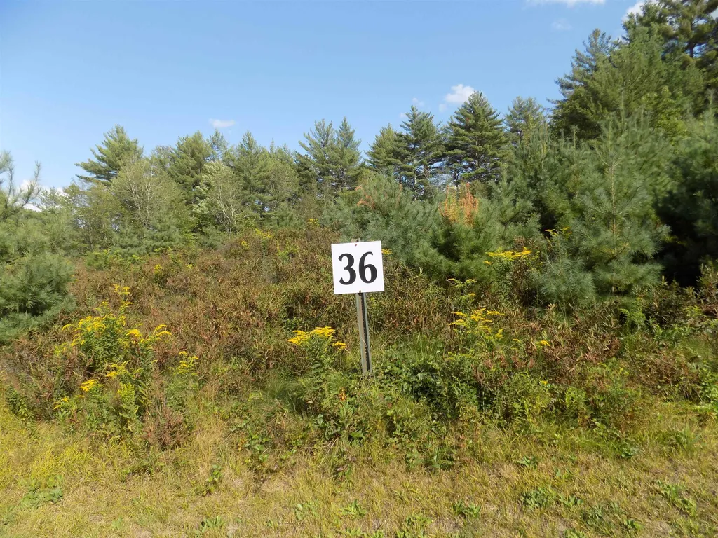 Lot 36 Pemigewasset Drive Conway NH 03818
