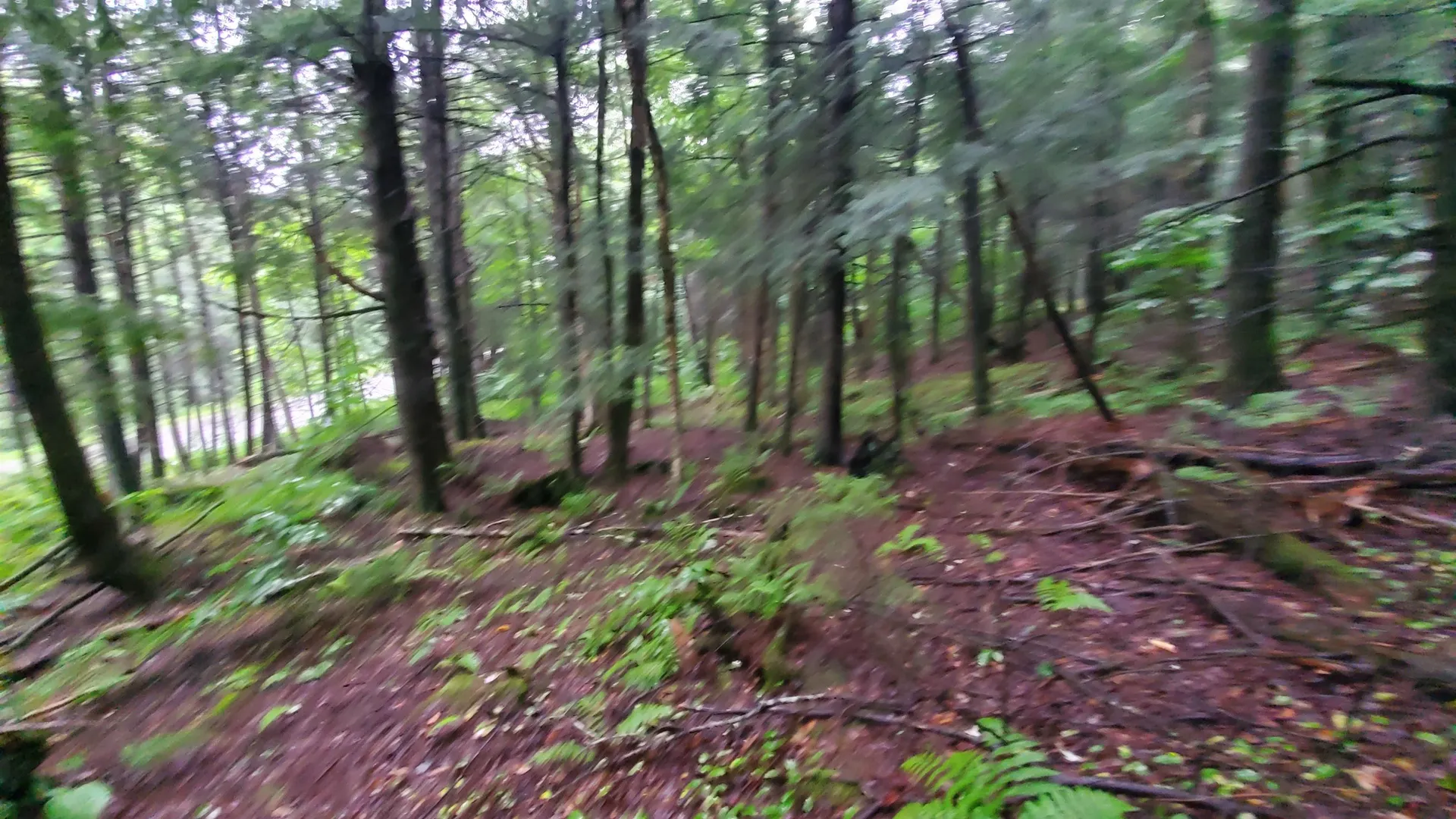 00 E Barnard Road Barnard VT 05068
