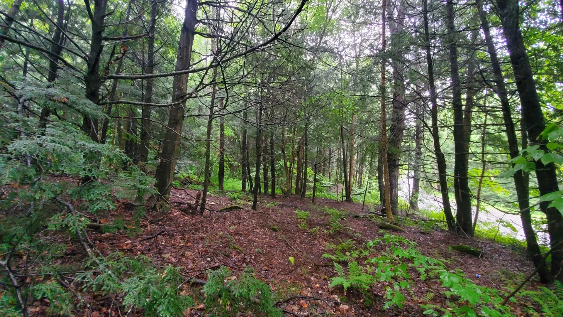 00 E Barnard Road Barnard VT 05068