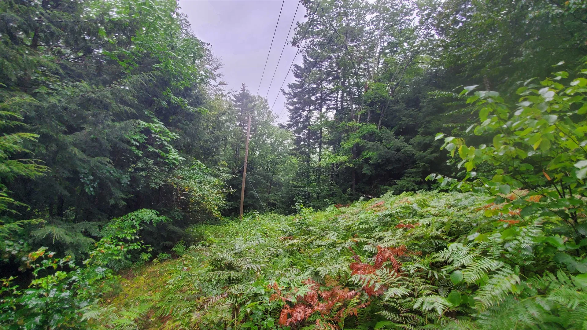 00 E Barnard Road Barnard VT 05068