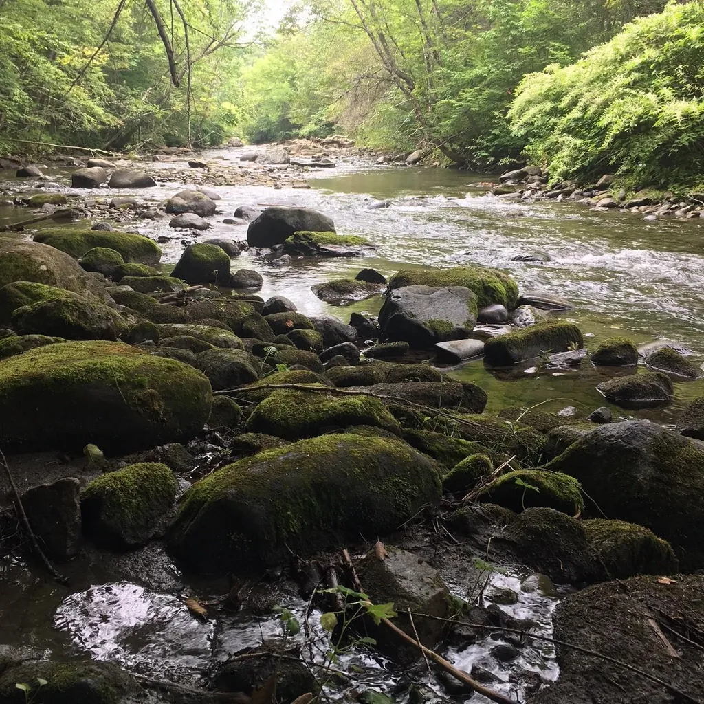 29 Mine Road Strafford VT 05070